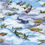 Warbirds